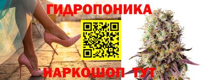 альфа пвп Заводоуковск