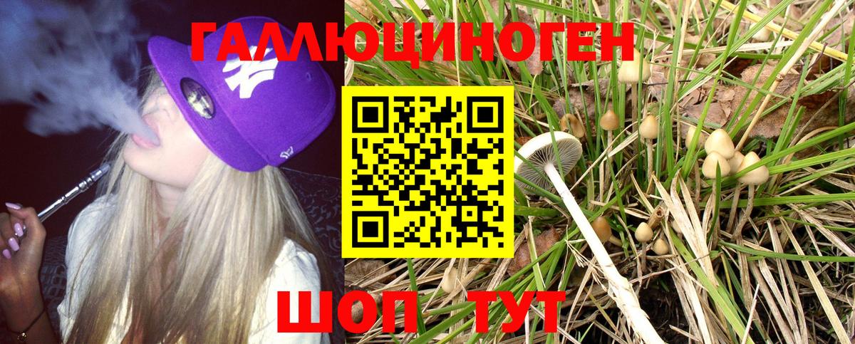 Галлюциногенные грибы GOLDEN TEACHER Урюпинск