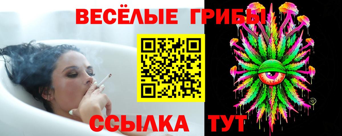 Урюпинск  Псилоцибиновые грибы Cubensis  Вход с VPN 